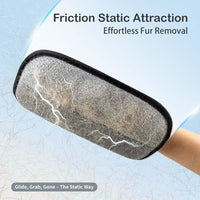 Electrostatic Pet Hair Removal GloveTM