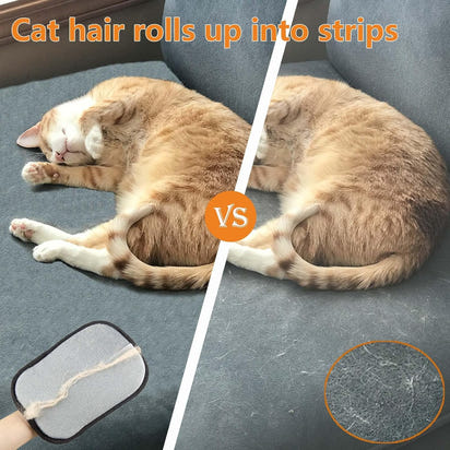 Electrostatic Pet Hair Removal GloveTM